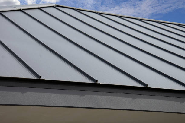 Best Roof Moss and Algae Removal  in Sylvania, OH